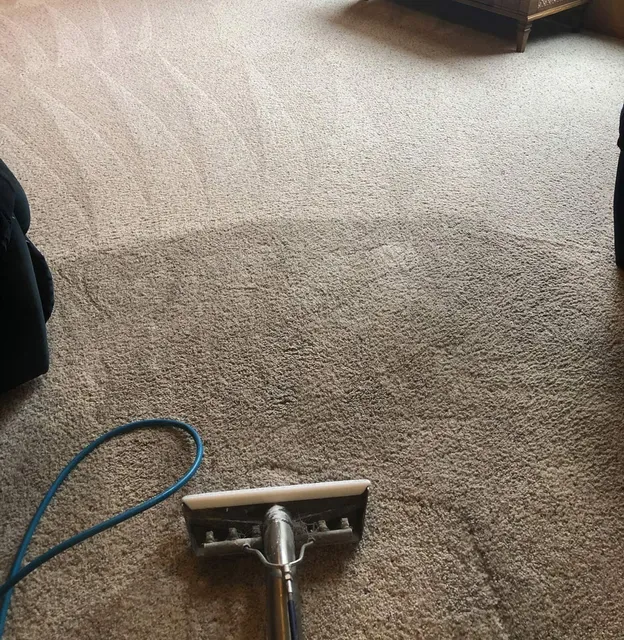 Carpet Cleaning Houston TX