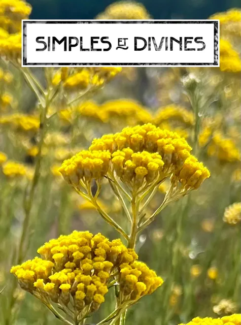 Huiles Essentielles Porto Vecchio et Cosmestique