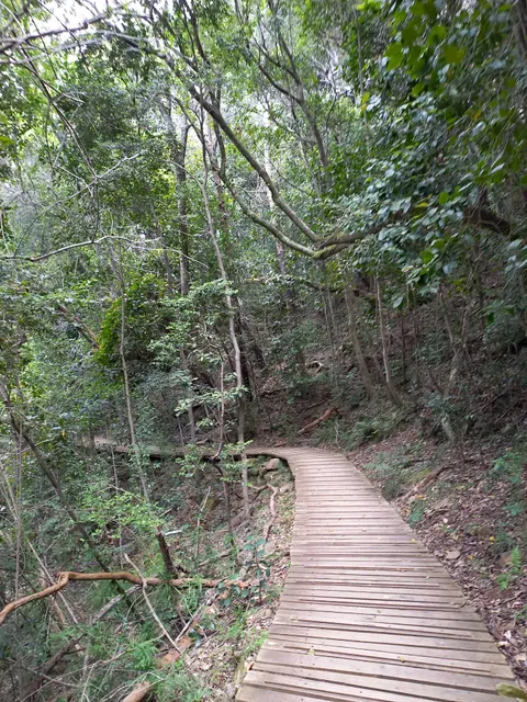 Newlands Forest Hiking Trail