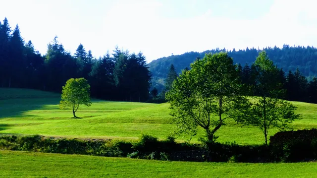 Schönerei Ferien- und Freizeithof