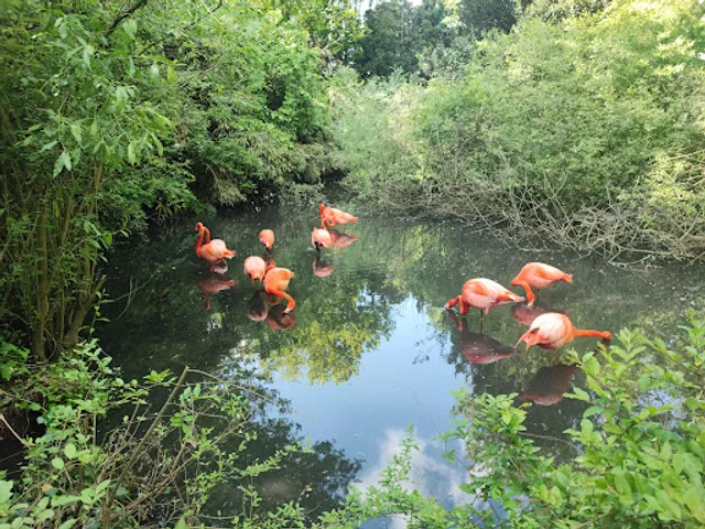 Bar oasi sant'alessio
