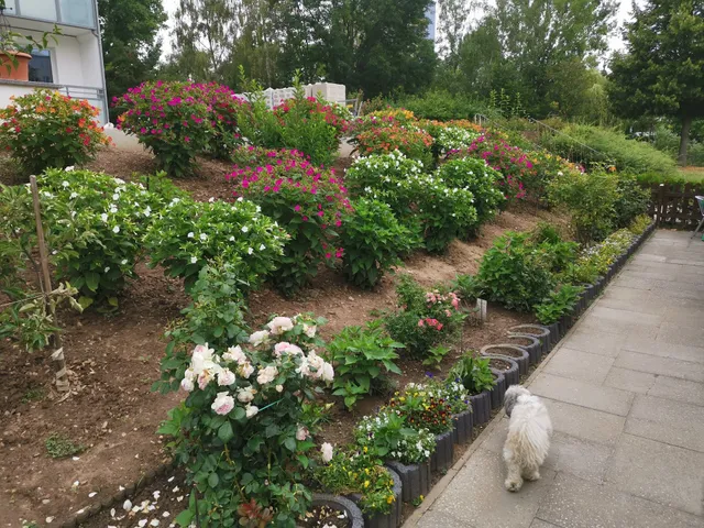 Cafe und Bistro SMART-Chemnitz