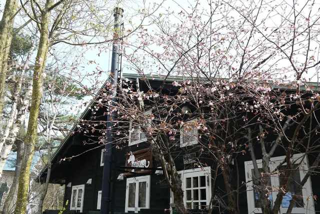 蔵王坊平高原 石井ペンション