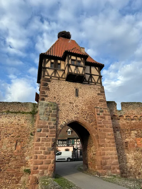 Cercle Catholique Aloysia