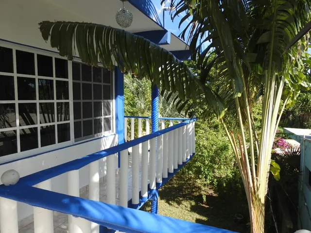 Las Palapas de punta allen