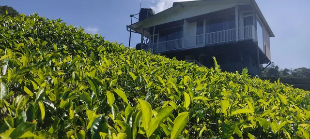 Thendral Homestay Kavarkal, Valparai