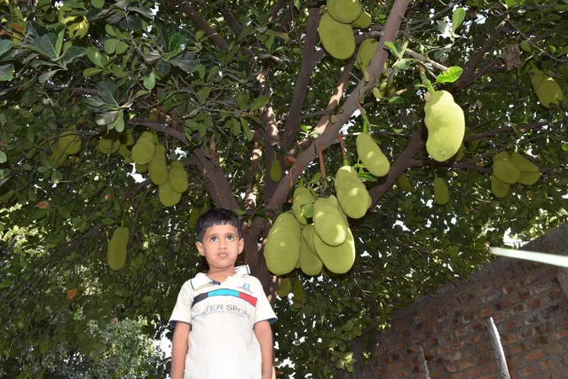 Shivashray Organic Krishi Farm House and Farm Stay