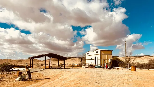 חוות זית המדבר Desert olive farm