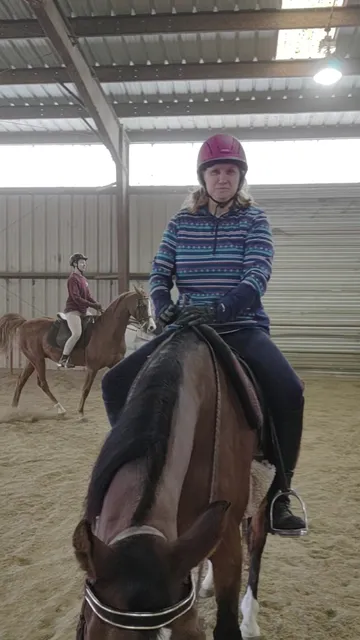 The Highland Horses School of Riding