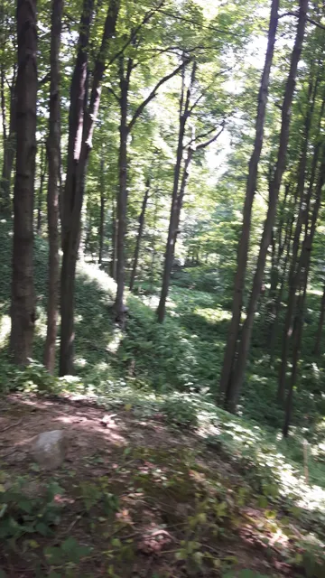 Point Rouge Trail Park