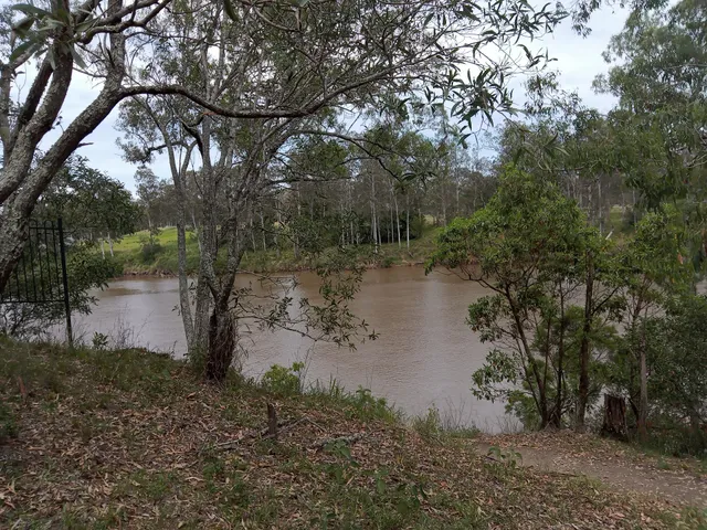 Wilsons Walkway Mt Ommaney Bushland Reserve