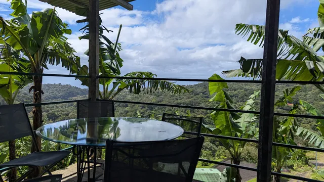 Délice du bassin bleu