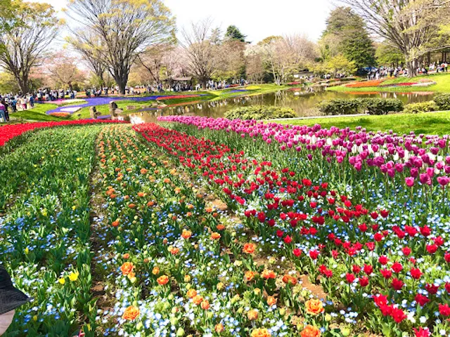 Tachikawa Park
