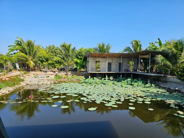 Homestay Sen & Zen Villa Vũng Tàu