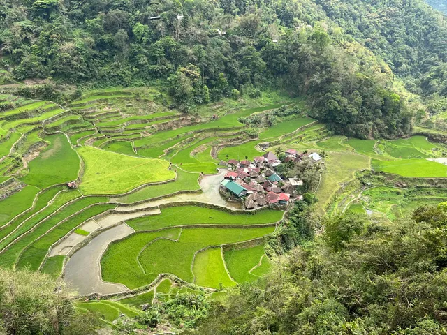 Bangaan Ifugao Rice Terraces