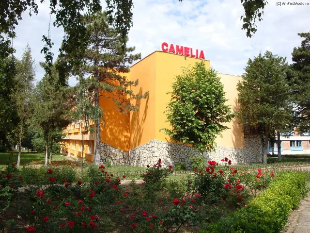 Camelia