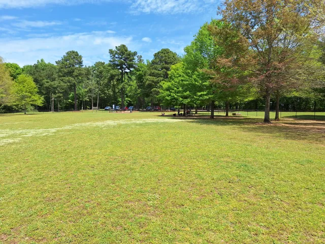 Cooter's Pond Dog Park