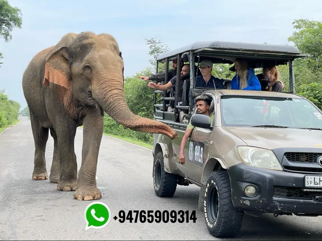 Yala safaris srilanka with tharusha