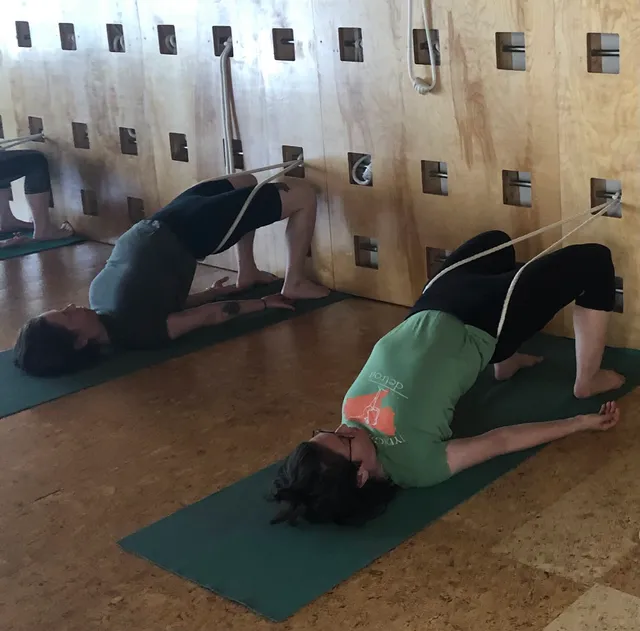 Iyengar Yoga Detroit