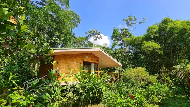 Hakuna Matata Amazon Lodge