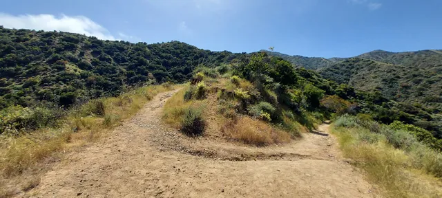 Catalina Backcountry