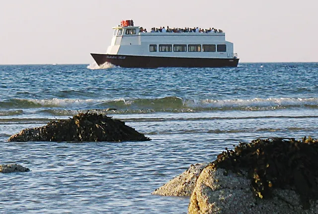Lobster Roll Cruises