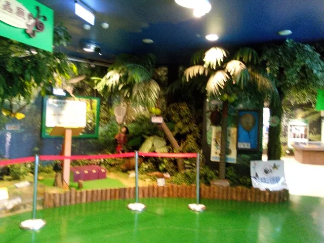 Butterfly & Insect Museum