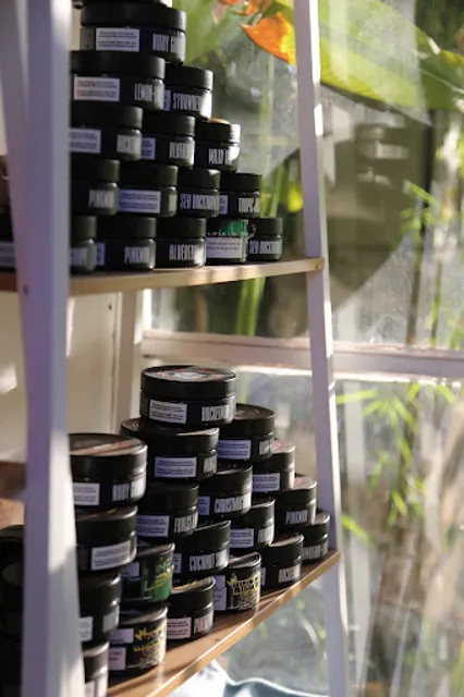 Hookah Plane х Кальянная Самолет