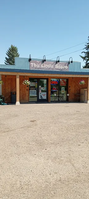 The Little Store
