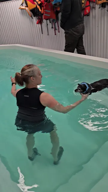 SplashDog Canine Well-Being Center LLC