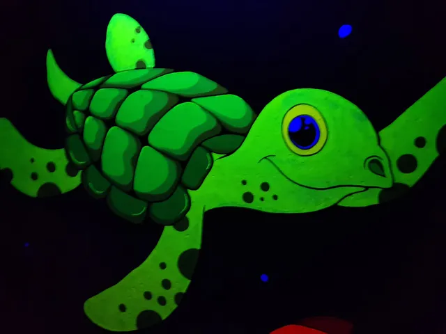 Turtle Lounge & Club