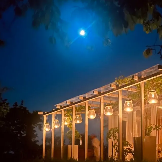 Buddhas Bed & Wellness