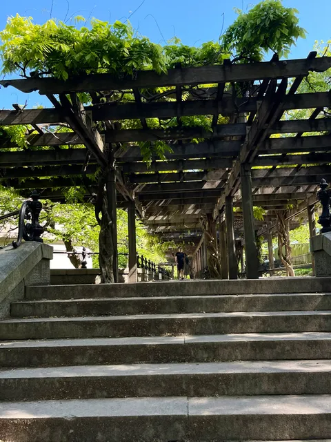 Wisteria Pergola At The Mall