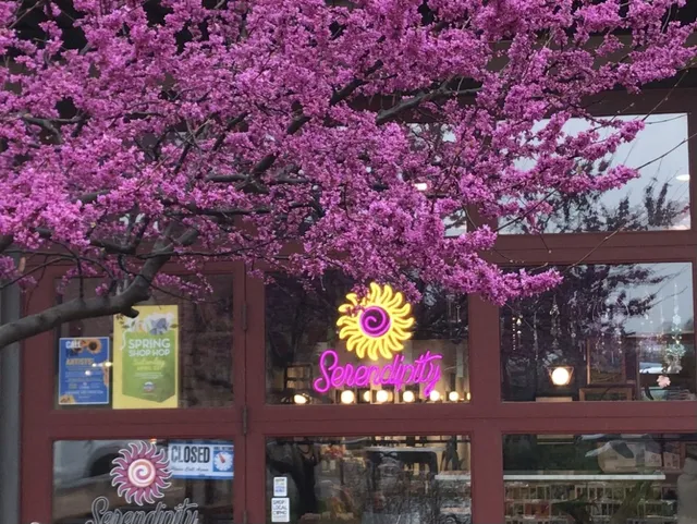 Serendipity Salon and Gallery by Elizabeth Jordheim