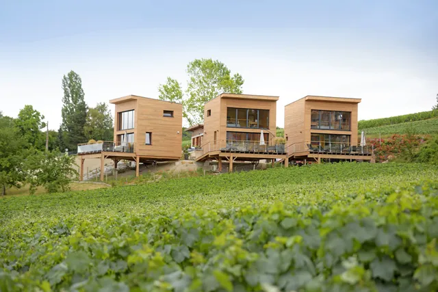 Cottages Antoinette: Location de vacances avec jacuzzi vue panoramique sur le vignoble proche de Reims, Epernay