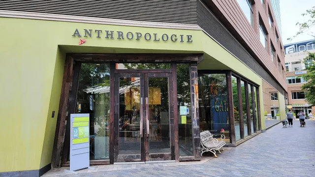 Anthropologie