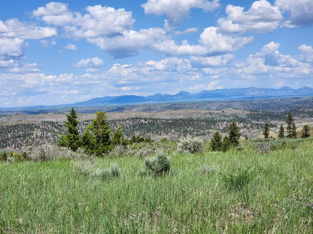 Auto Tour Route - CMR National Wildlife Refuge