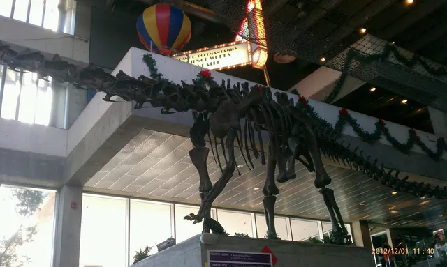 Florida Hospital IMAX DOME Theatre