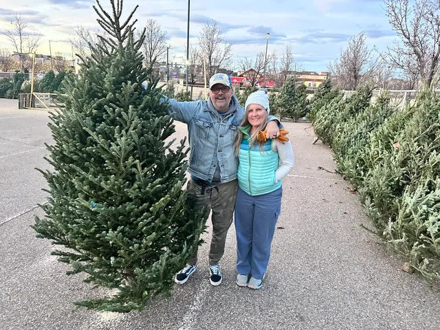 Jolly Christmas Trees