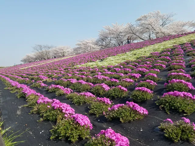 Arakawa Akabane Park