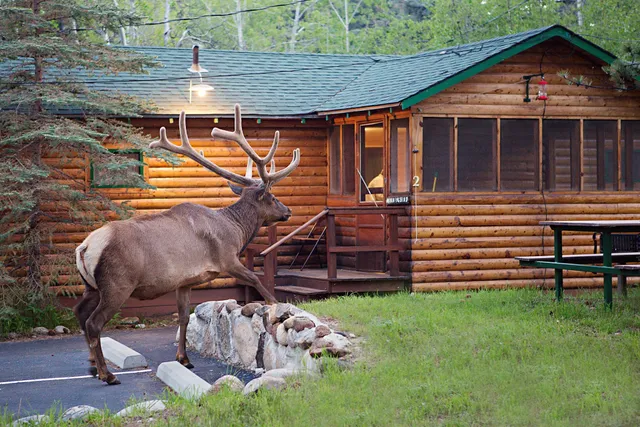 Idlewilde By the River