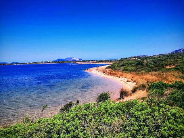 Aria di Vacanza - Gelsi