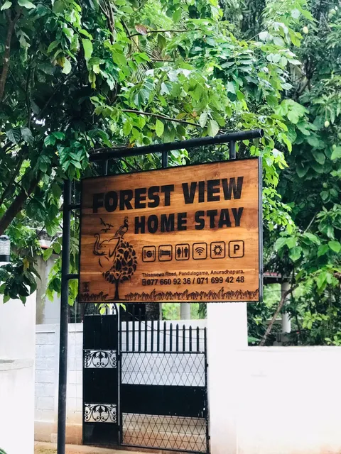 FOREST VIEW HOME STAY