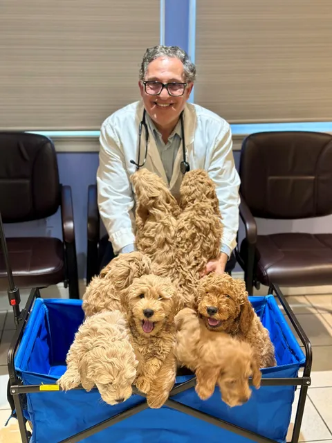 All Pets Vet Hospital