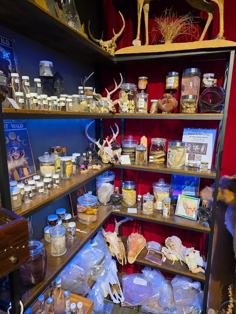 Velvet Coffin Oddities