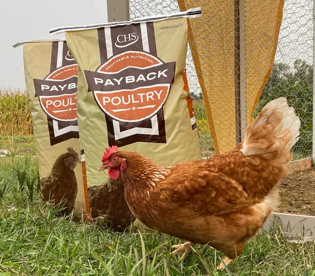 CHS Primeland Country Store