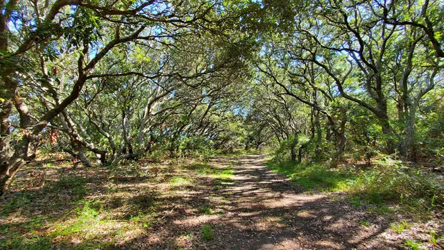Pine Island Audubon Sanctuary