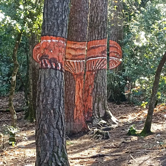 Bosc pintat de Poblet