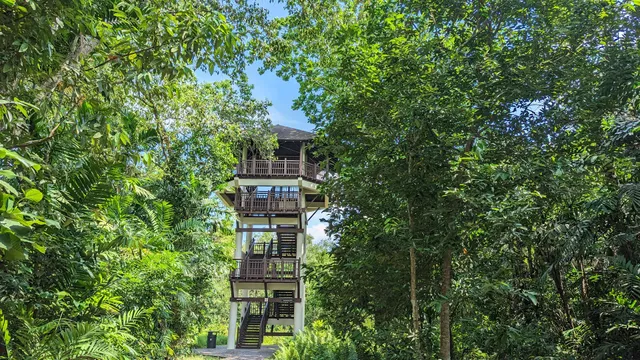 Pasir Ris Bird Watching Tower