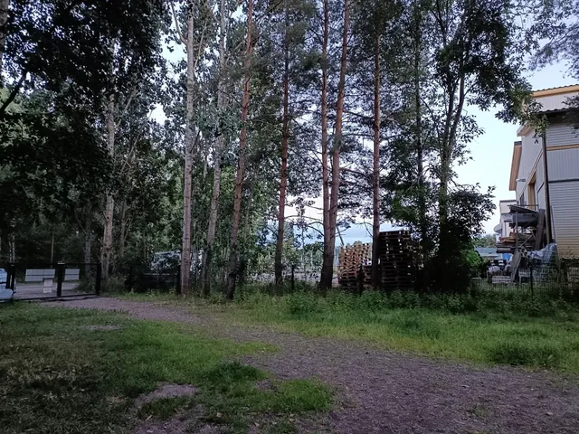 Sarvaston koirapuisto